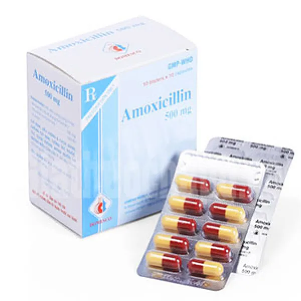 Amoxicillin 500Mg _Đồng Tháp (Hộp 100V)