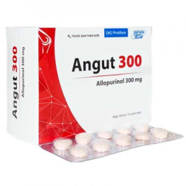 Angut 300 Dhg (H100 V)