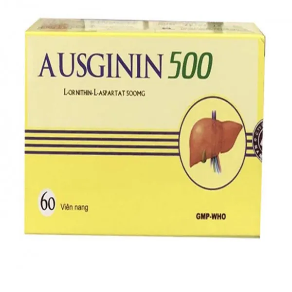 Ausginin 500 (H/60V)