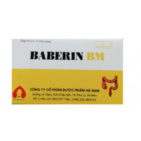 Baberin Bm Dược Phẩm Hà Nam (H100V)