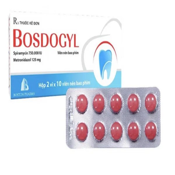 Bosdogyl Răng _ Boston (H20V)