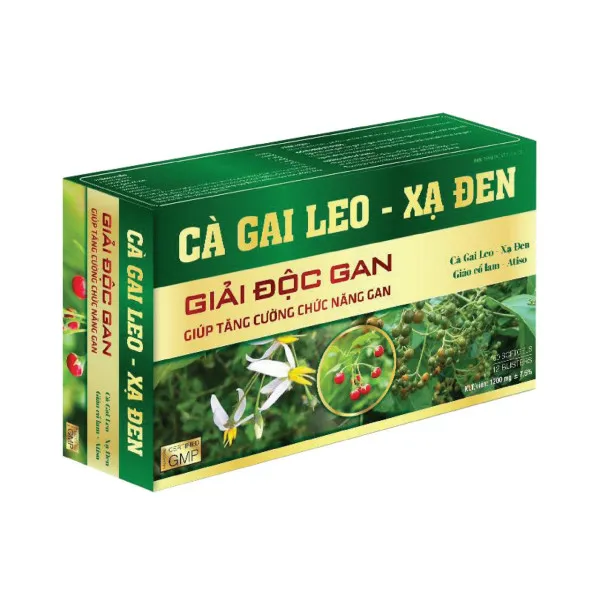 Cà Gai Leo Xạ Đen Xanh Rẻ _Akophap (H60V) K120H