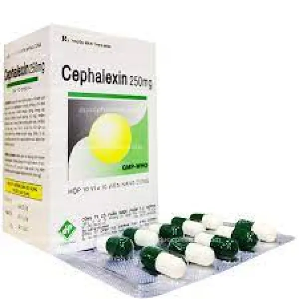 Cephalexin 250Mg (H100V) Vidipha