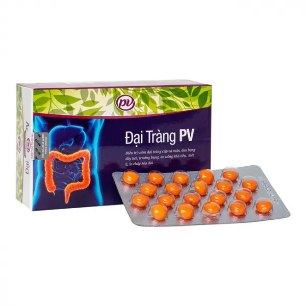 Đại Tràng Pv Phúc Vinh (H100V)