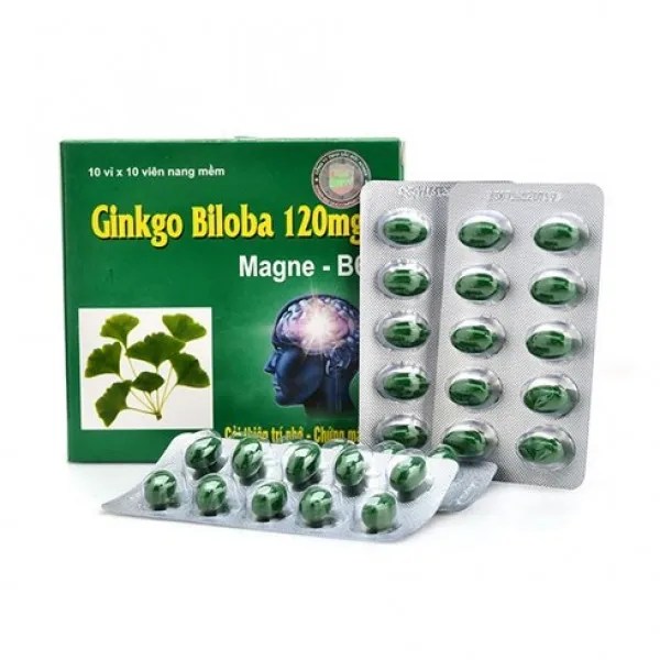 Ginkgo Biloba 120Mg Thanh Hằng (H/100V)