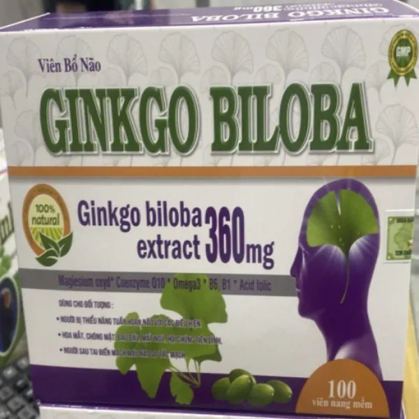 Ginkgo Biloba 360 Tím Dài (H100Viên)