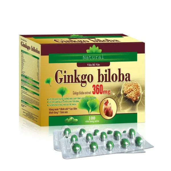 Ginkgo biloba 360Mg _ Vàng (H100V) K69