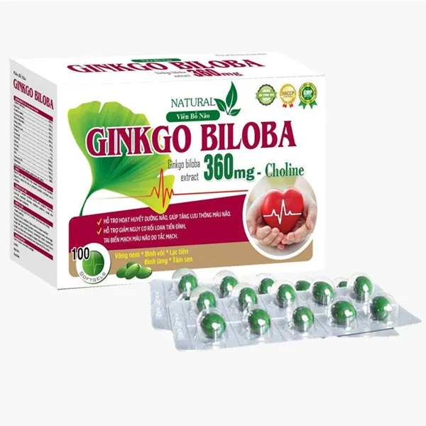 Ginkgo Biloba 360Mg _Choline Trắng (H100V) K69H