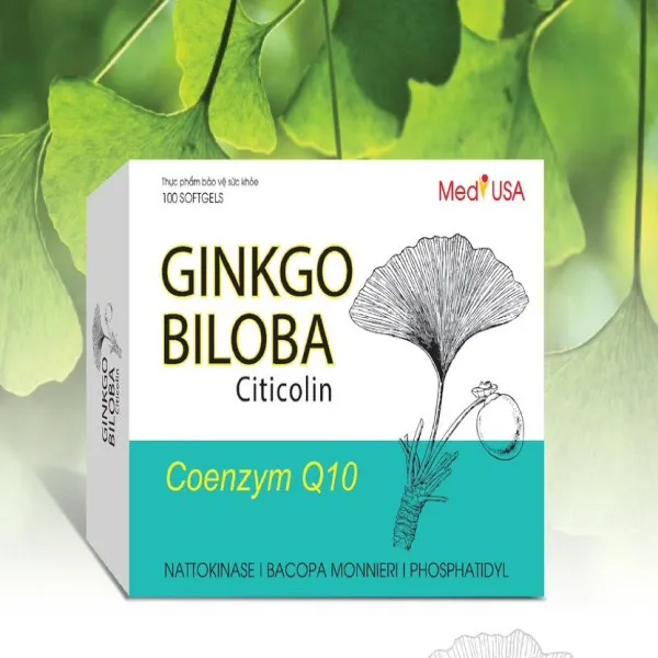 Ginkgo Biloba 360Mg _Gỗ Trắng, Us (H10Vỉ X 10V)