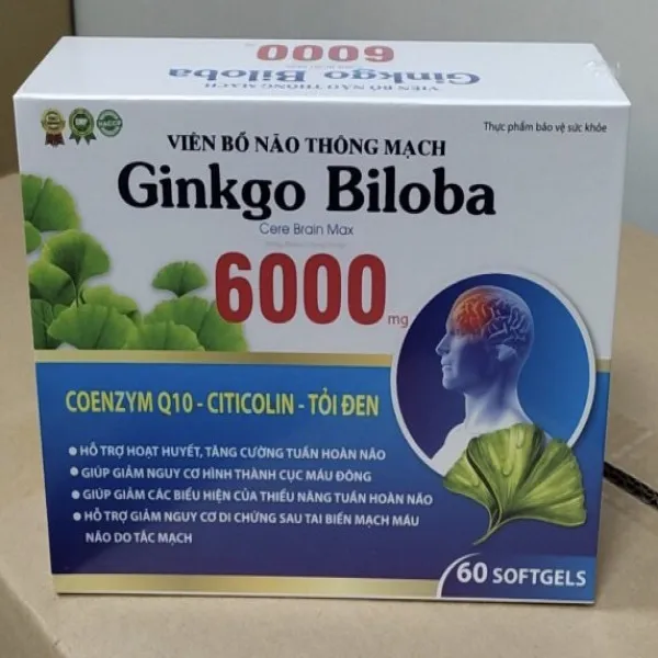 Ginkgo Biloba 6000 Vỉ _Gỗ Xanh Dương (H60V) Ginko