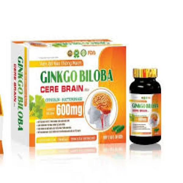 Ginkgo Biloba 600Mg _Gỗ Cam (H/2 Lọ/30V)