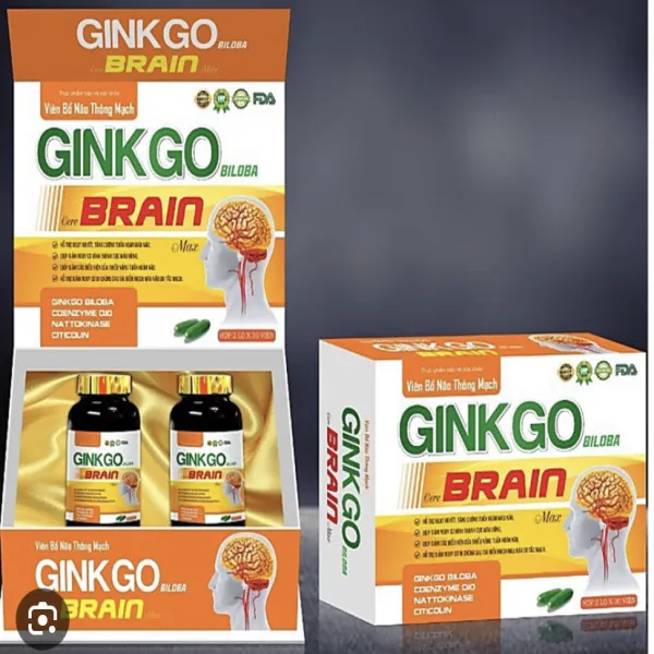 Ginkgo Brain Cam Cũ _ Gỗ (H/2 Lọ/30 Viên) K36