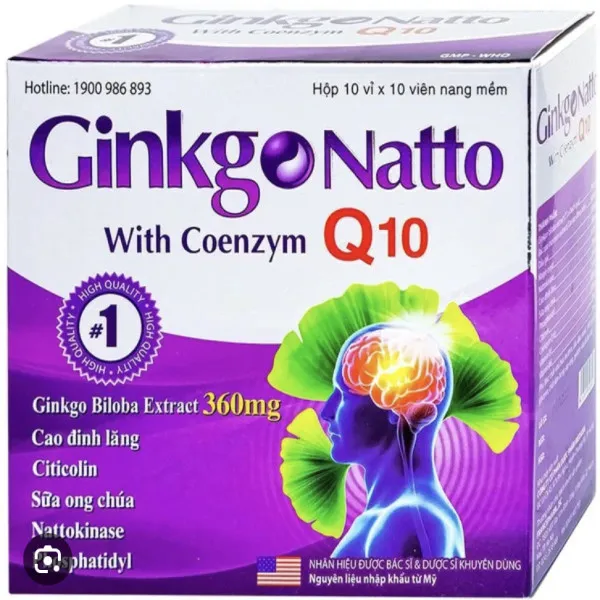 Ginkgo Nato Co Q10 Tím #1 _Us (H100V) K120