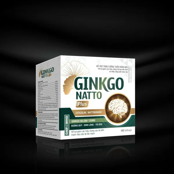 Ginkgo Nato Xám _Hà Nội (H10Vỉ X 10 Viên)