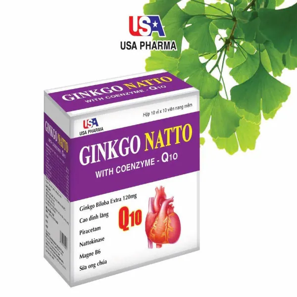 Ginkgo Natto 120Mg Tím _Us (H100V) K120H