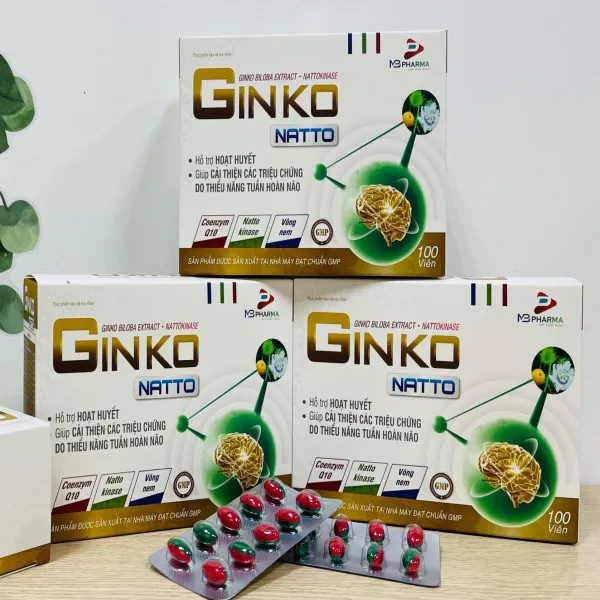 Ginkgo Natto _ Mb (H100V)