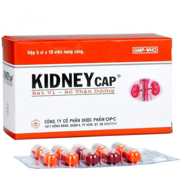 Kidneycap Bát Vị Bổ Thận Dương Opc (H50V)