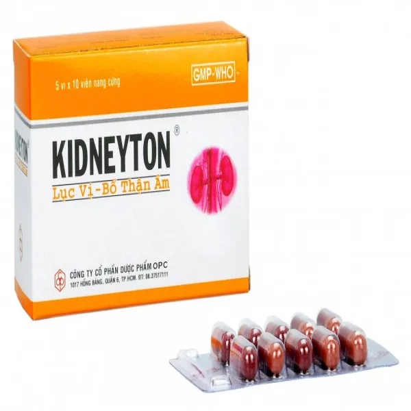 Kidneyton Lục Vị Bổ Thận Âm (H50V)