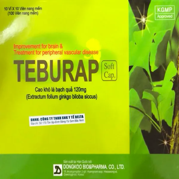 Teburap 120Mg Dongkoo Bio&Pharma (H100V)