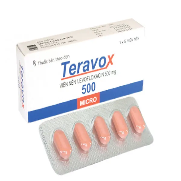 Teravox 500 (H5V)