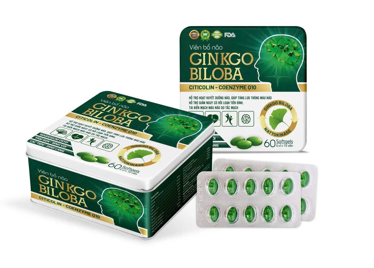 Viên Bổ Não Ginkgo Biloba (H60v)