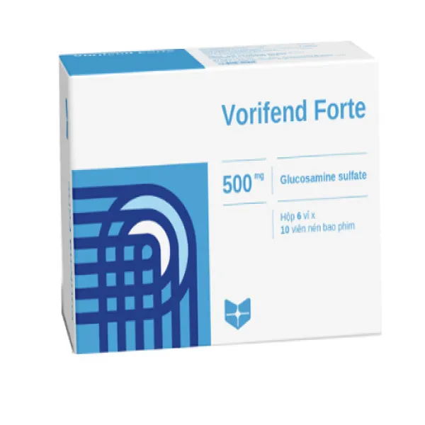 Vorifend Fort Stella (H60V)