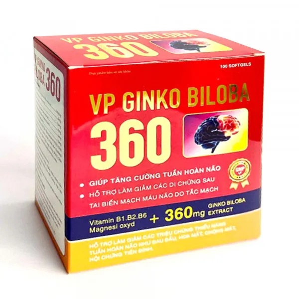 Vp Ginkgo Biloba 360 (H100V)